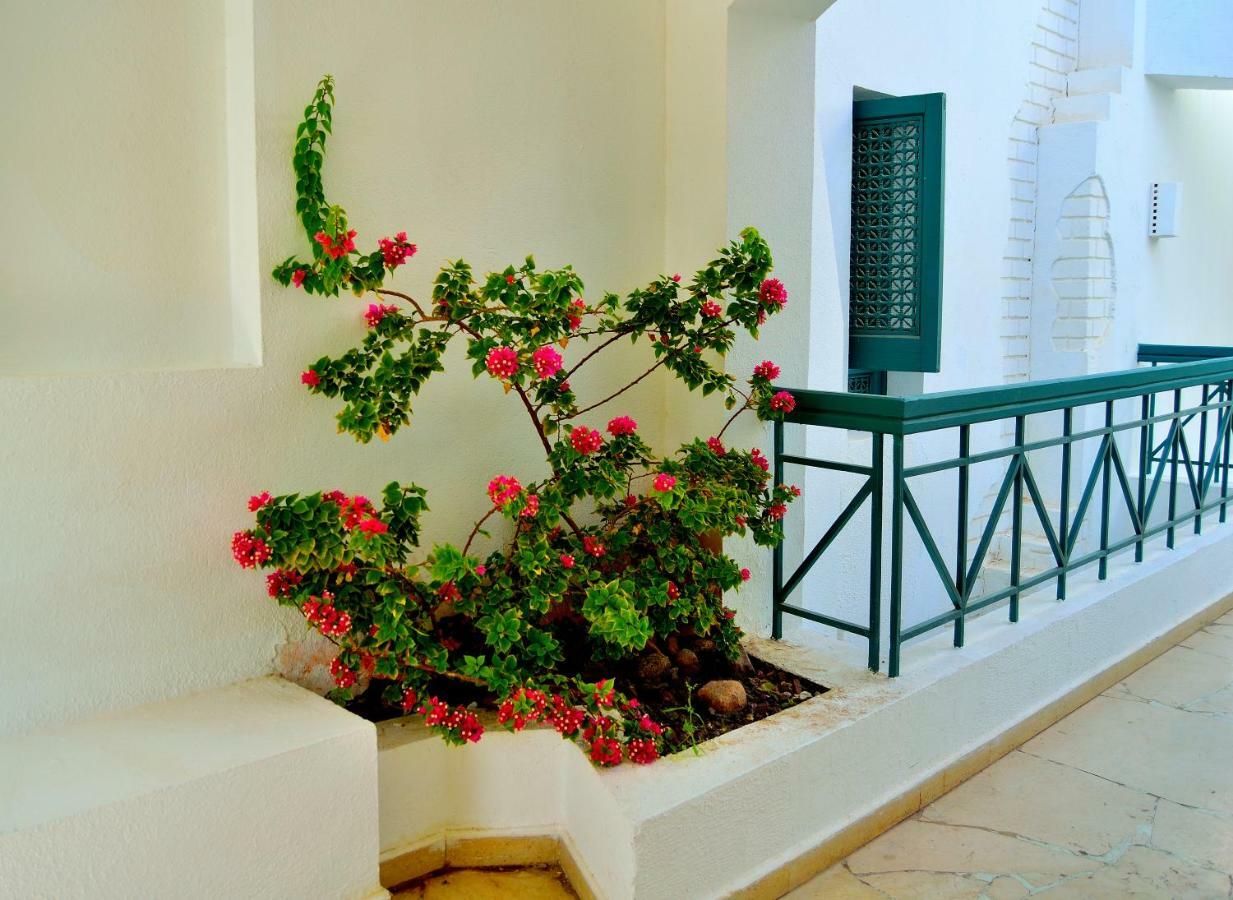 Jaz Neo Naama Bay Sharm El Sheikk Exterior foto